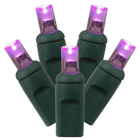 Vickerman LED Green Wire End Connecting 6 in. Spacing 35 ft. Long Light Set with Purple Lights X6G2706CSA